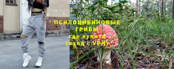 герыч Алексин