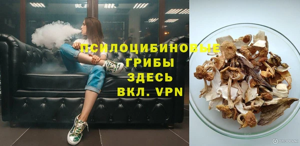 прущая мука Алзамай